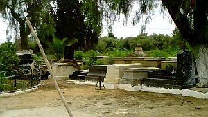 ORAN 2009 cimetiere Juif d'Oran   (13)